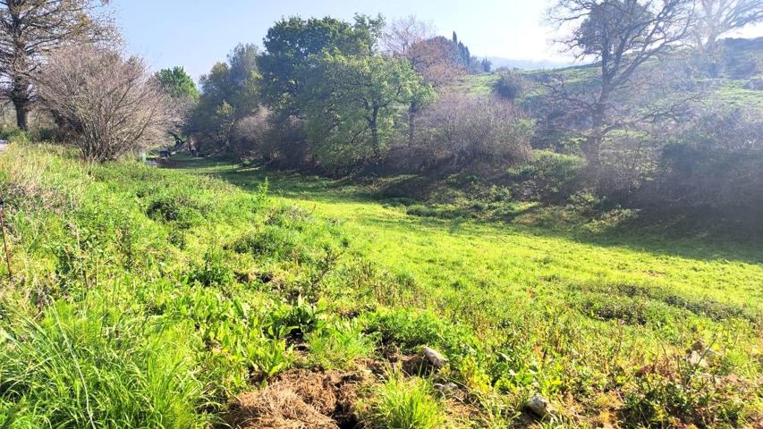 Terreno rústico urbanizable en Obregón photo 0