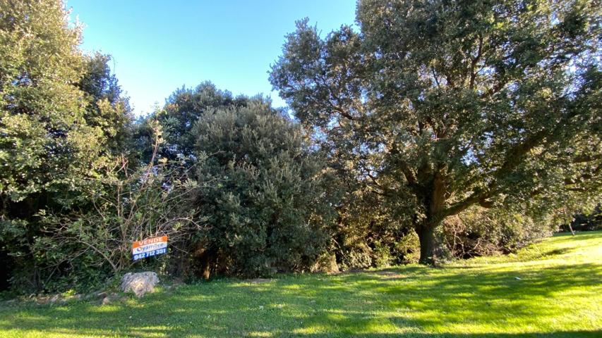 FINCA RÚSTICA EN CASTRO URDIALES, CANTABRIA (CALLLE VALMASEDA) photo 0