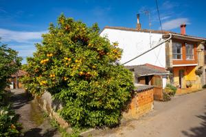 CASA-CUADRA Y PARCELA photo 0