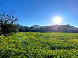 Un rincón de tranquilidad a un paso de Antequera photo 0