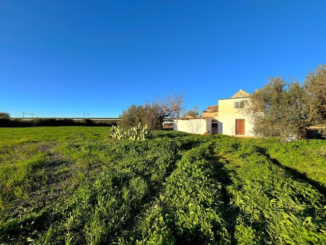 Un rincón de tranquilidad a un paso de Antequera photo 0