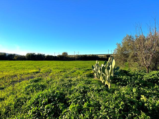 Un rincón de tranquilidad a un paso de Antequera photo 0