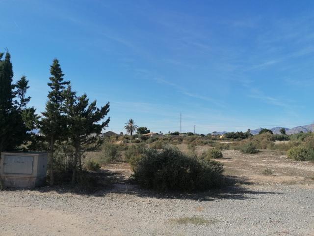 Parcela a 5 km de Elche photo 0