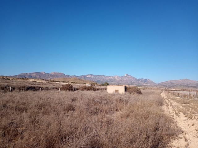 ECONÓMICO TERRENO CON VISTAS DESPEJADAS PARA SUS RATOS DE OCIO photo 0