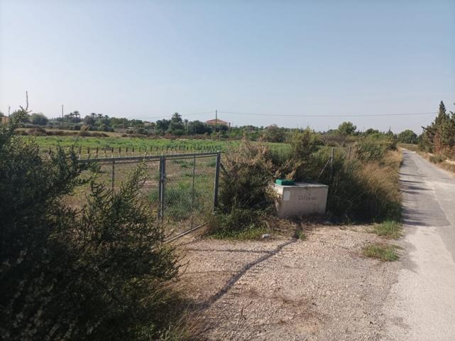 PARCELA A 6 KMS DE ELCHE PARA CONSTRUIR SU SUEÑO!! photo 0