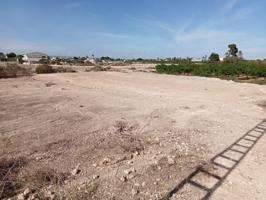 Terreno para construir entre Elche y Matola, LO VAS A PERDER?? photo 0