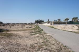 PARCELA DE 26.000 M2- SEGRAGABLE en 2- ZONA LLANO SAN JOSÉ-MATOLA photo 0