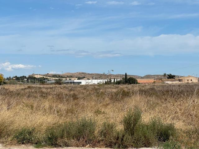SUELO URBANO - PRÓXIMA URBANIZACIÓN cerca IFA photo 0