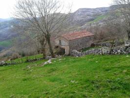 SE VENDE FINCA RUSTICA DE 14,000 METROS CON CABAÑA, photo 0