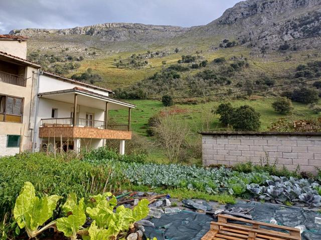 CASA PAREADA CON TERRENO EN MATIENZO (CANTABRIA) photo 0