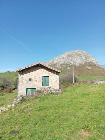 FINCA RUSTICA Y CABAÑA DE PIEDRA EN SAN MARTIN SOBA (CANTABRIA) photo 0