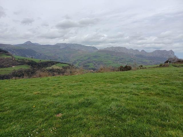 PARCELA DE TERRENO EN SOBA (CANTABRIA) photo 0