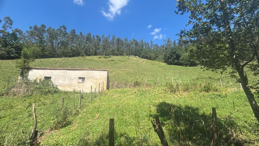 SE VENDE TERRENO RUSTICO EN RAMALES DE LA VICTORIA (CANTABRIA) photo 0