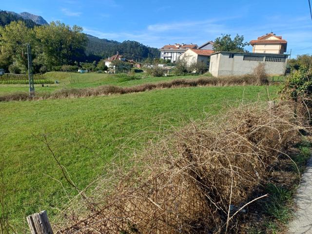 PARCELA EN GIBAJA (CANTABRIA) photo 0