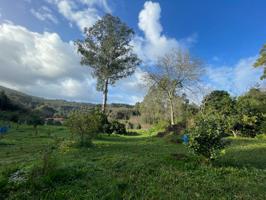 TERRENO CON POSIBILIDAD DE CONSTRUIR UNA VIVIENDA UNIFAMILIAR photo 0