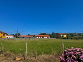 TERRENO URBANO EN CAMPLENGO (SANTILLANA DEL MAR) photo 0