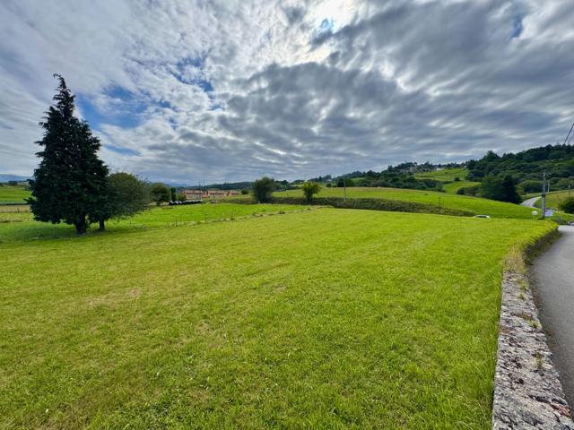 BONITO TERRENO URBANO EN UDIAS. photo 0