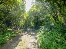 Terreno rústico en Isla – Naturaleza, tranquilidad y potencial photo 0