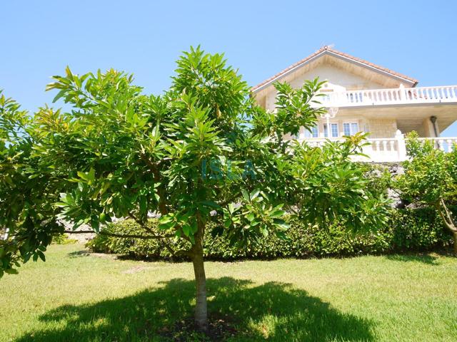 LUJO Y AMPLITUD A UN PASO DEL MAR Y LA PLAYA photo 0