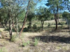 Parcela de 5.000 m2 en Marugán photo 0