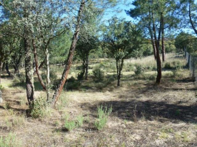 Parcela de 5.000 m2 en Marugán photo 0