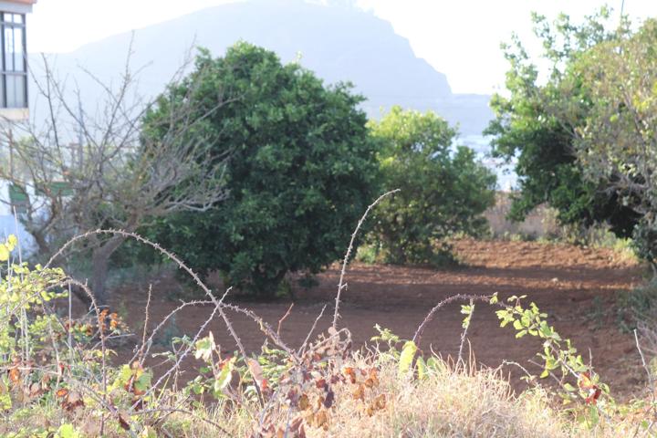 SOLAR URBANO CON FINCA RUSTICA photo 0