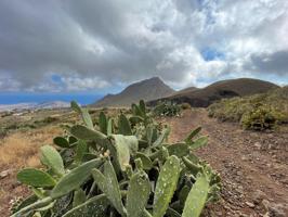 INCREÍBLE FINCA ECOLÓGICA EN ARONA - TENERIFE photo 0