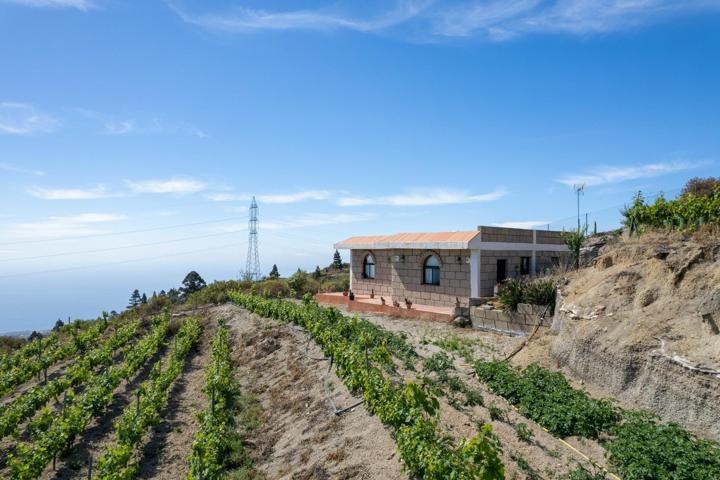 Finca de viñas en Fasnia photo 0