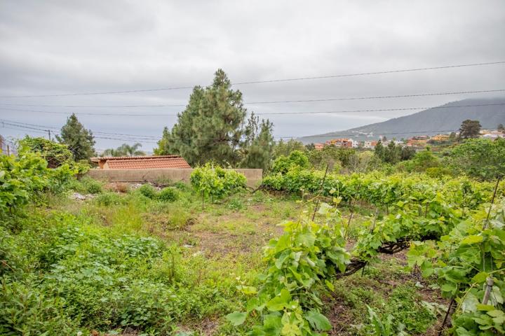 Terreno Rústico zona El Sauce en La Orotava photo 0