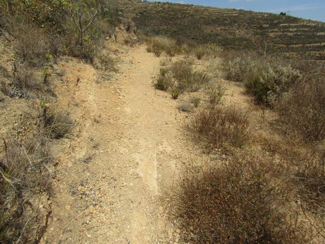 ¡Oportunidad única en Guimar! Terreno de Asentamiento Rural. photo 0