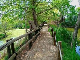 FINCA RUSTICA DEL LAGO, UNA PROPIEDAD EXCLUSIVA photo 0