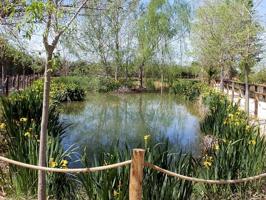 FINCA RUSTICA DEL LAGO, UNA PROPIEDAD EXCLUSIVA photo 0