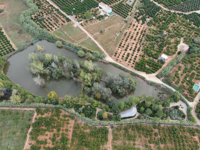 FINCA RUSTICA DEL LAGO, UNA PROPIEDAD EXCLUSIVA photo 0