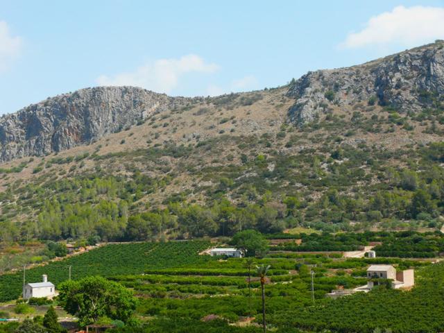 Finca rústica de 15 hectáreas con certificación ecológica photo 0