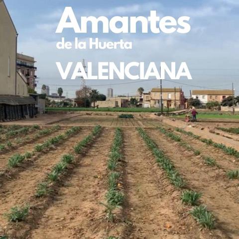 Casa en la Huerta a tan solo 5km de Valencia photo 0