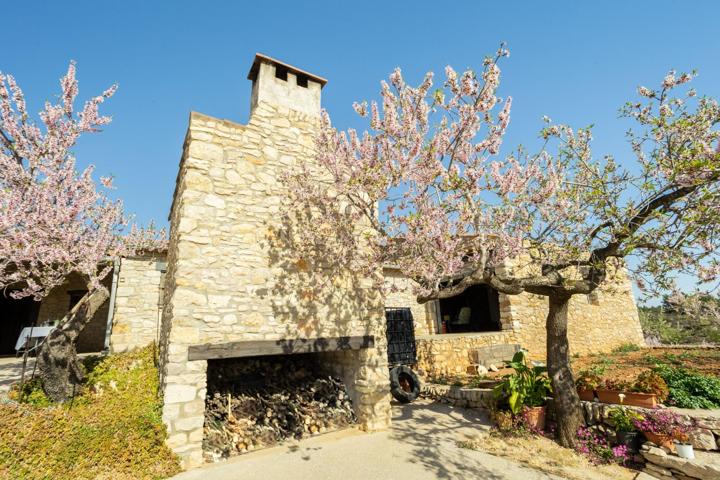 PARAISO RURAL FINCA DE 91.925m2 CON CASA, 215 m2, PARA ENTRAR A VIVIR YA! photo 0
