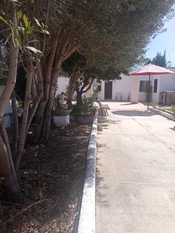 🏡 Chalet reformado con piscina en urbanización tranquila de Llíria photo 0