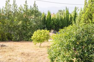 Vivienda con encanto en parcela urbana de 857 m² photo 0