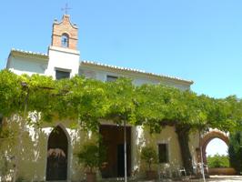 Atractiva finca rústica con huerto de naranjos photo 0