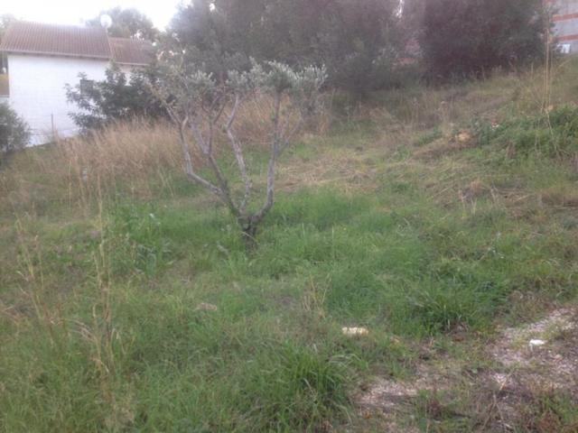 TERRENO EN BARONIA DE MAR photo 0