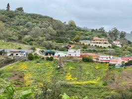 Venta de finca con viviendas y terrenos en Moya photo 0