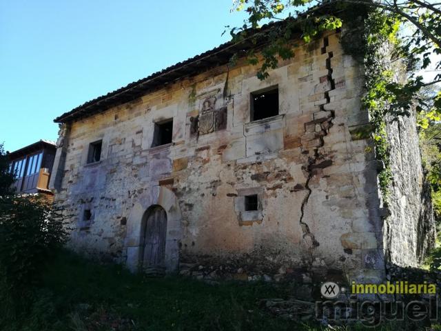 Se vende Casa-Palacio en La Collada, Peñamellera Alta photo 0