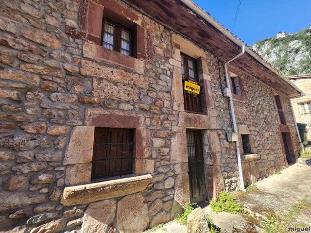 Se vende gran propiedad con terreno en La Hermida, Peñarrubia, Cantabria photo 0