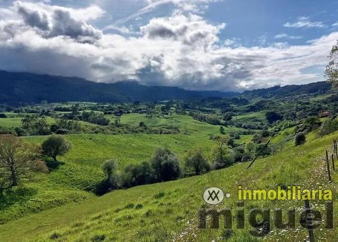 Se vende parcela edificable segregable en Noriega, Ribadedeva photo 0