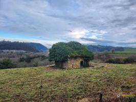 Se vende terreno de más de 10.000 metros con cabaña para rehabilitar en Val de San Vicente photo 0