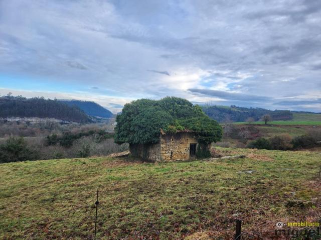 Se vende terreno de más de 10.000 metros con cabaña para rehabilitar en Val de San Vicente photo 0