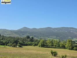 Se venden parcelas edificables de 1.200 m2 en Noriega, Ribadedeva photo 0