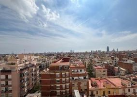Producto exclusivo Apialia photo 0