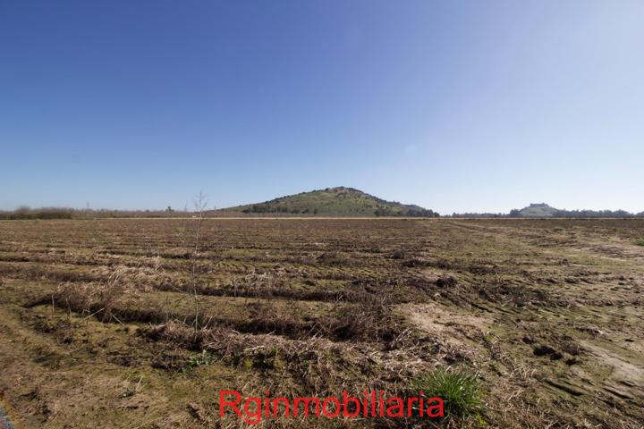 parcela de regadio en venta en Medellin photo 0