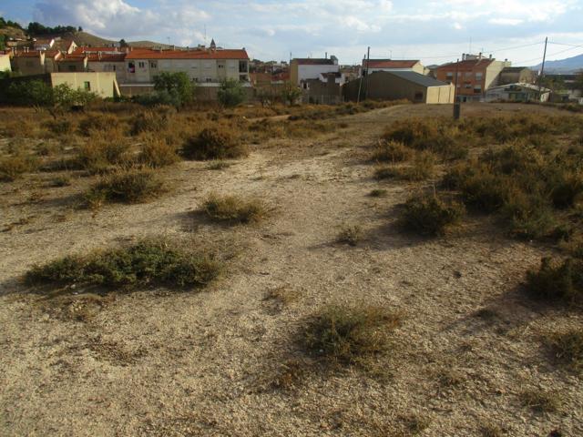 SOLAR EN CTRA.DE BONETE photo 0